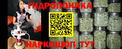 спайс Будённовск