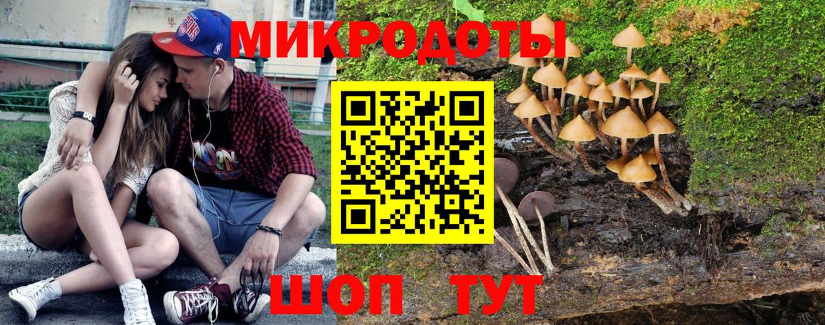 закладки  Псилоцибиновые грибы Cubensis  Вход с VPN  Мариинск 