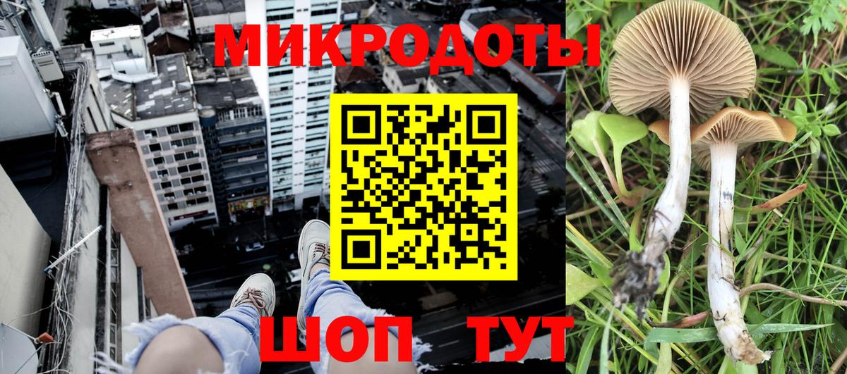 Галлюциногенные грибы ЛСД Мариинск